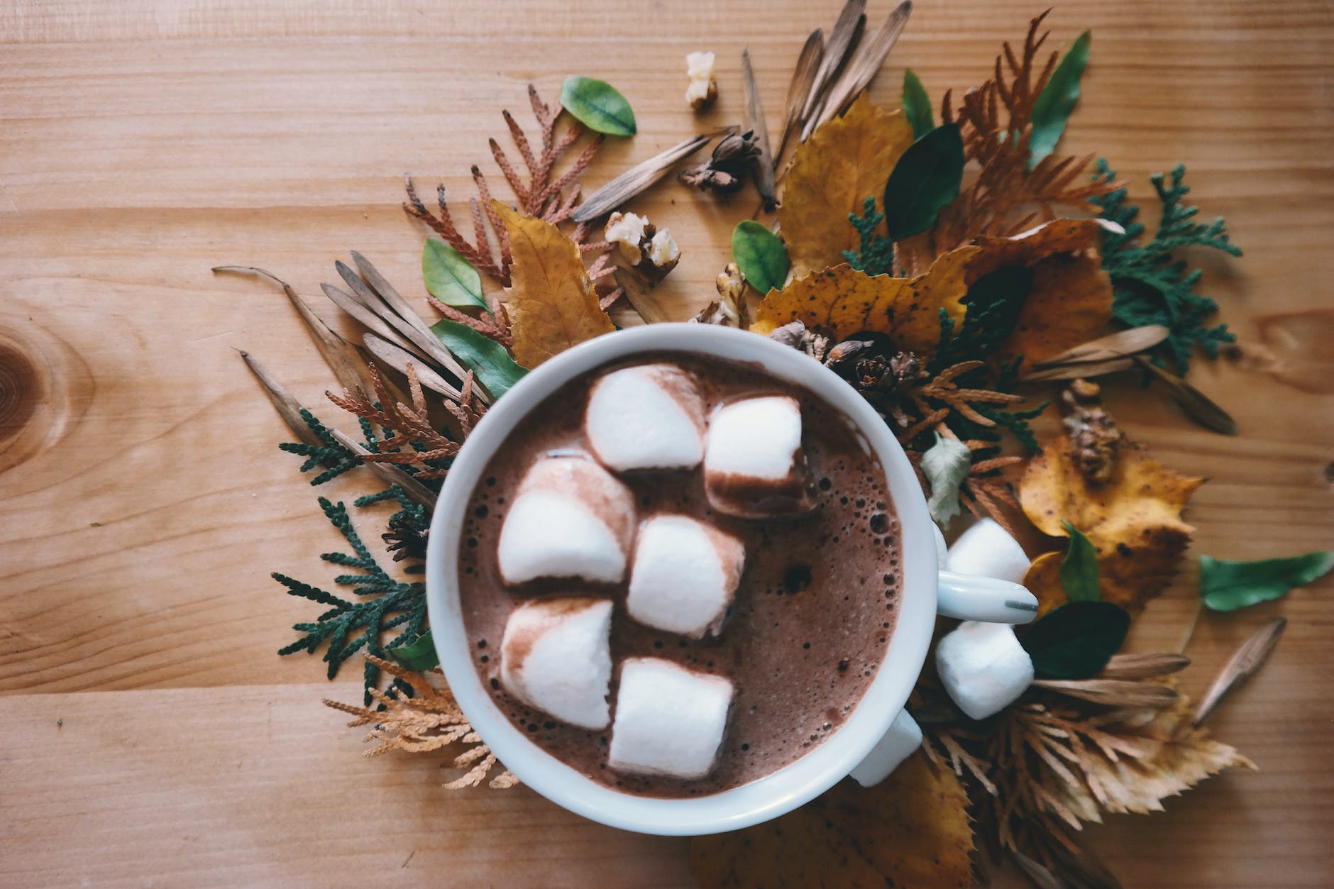 will hot chocolate help you fall asleep